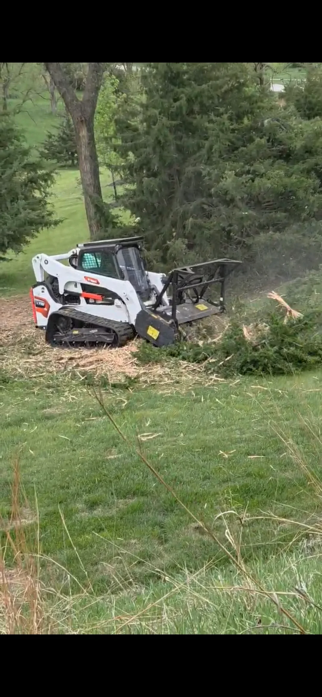 White and red compact track loader with brush removal attachment clearing overgrown vegetation on residential property
