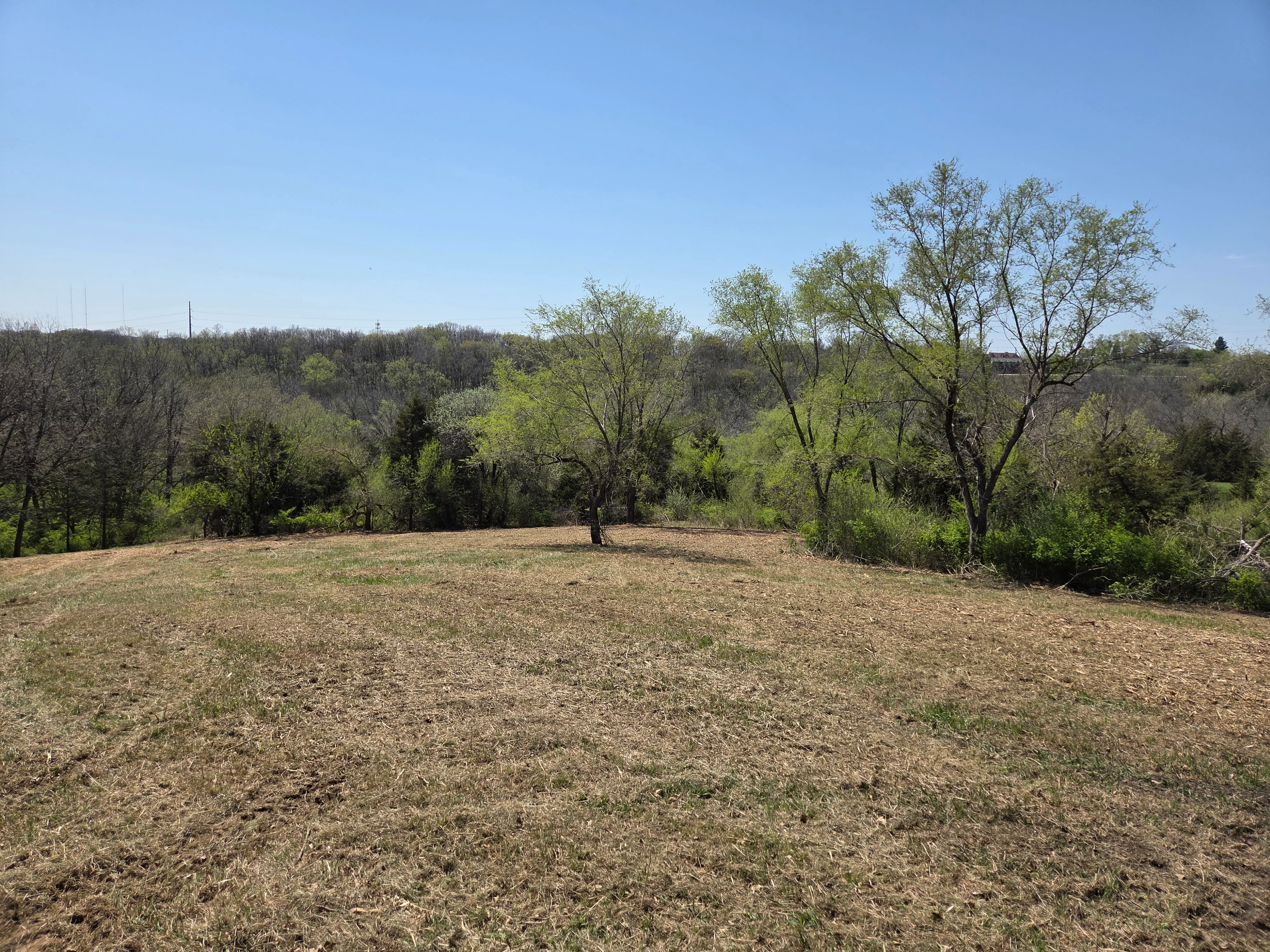 Cleared residential lot with exposed soil and tree line in background